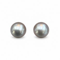 Grey Fresh Water Stud Earrings