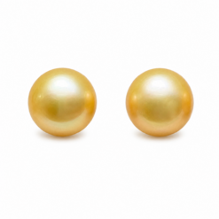 Champagne South Sea Pearl Earrings